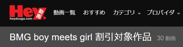 30作品あるプロバイダー
